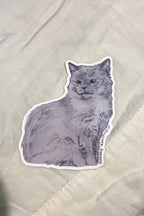 Pretty Kitty Sticker