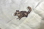 Chippy Sticker