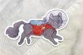 Space-Cat Sticker
